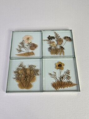 Dried Pressed Flower Glass Coasters Vintage Handmade Pansy Fern Drink Mat Set 4